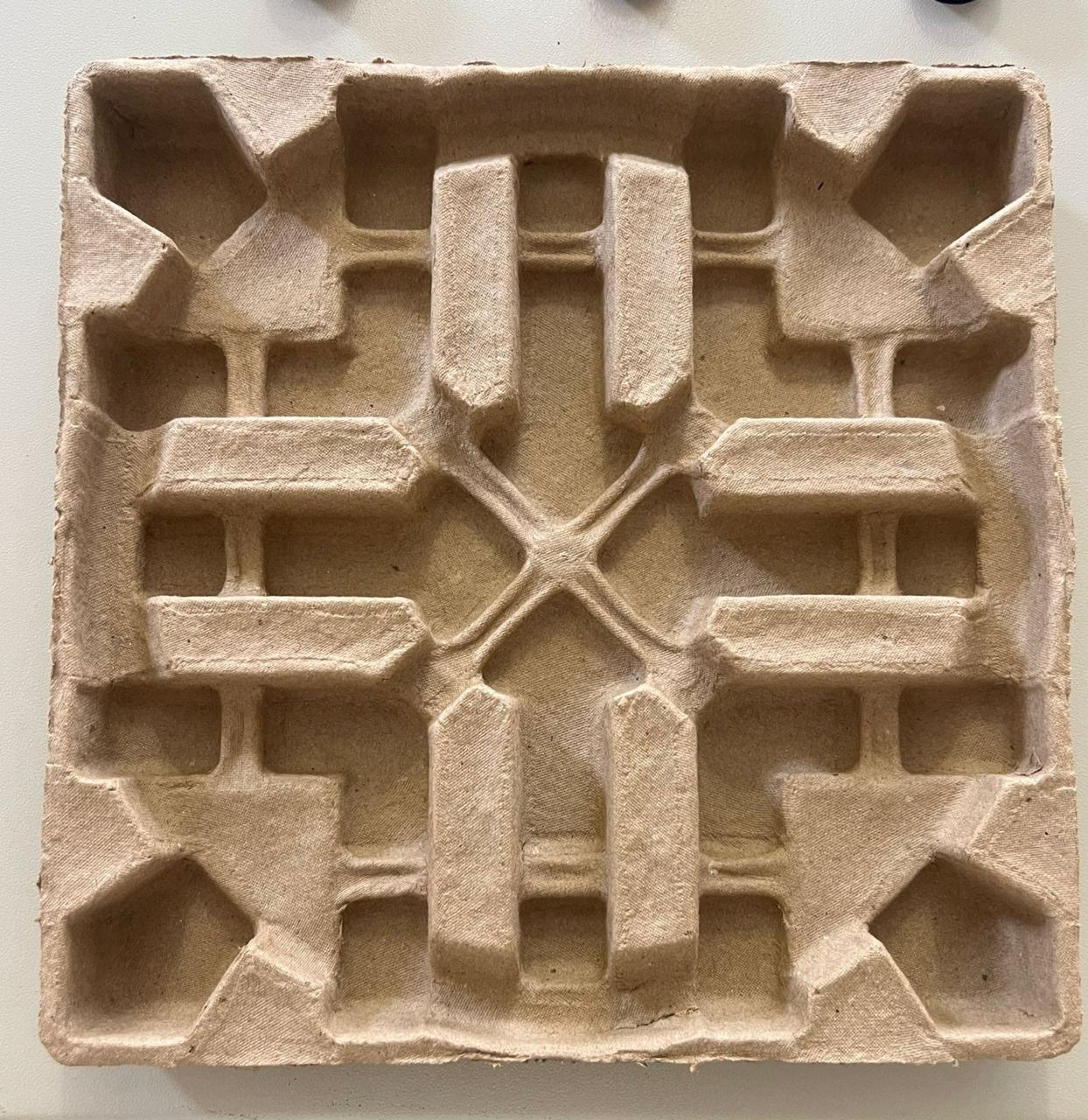 Customized Paper Moulded Packaging for Dish